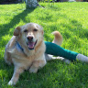 Meet your Posher, Jill